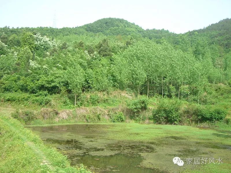 祖坟风水影响几代人_古代状元祖坟风水传说_历代状元祖坟风水