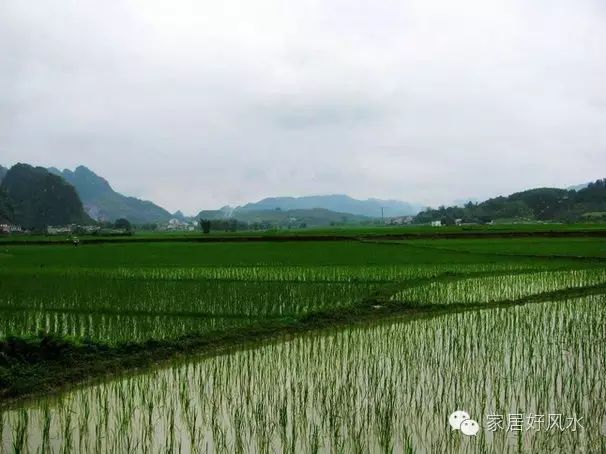 祖坟风水影响几代人_历代状元祖坟风水_古代状元祖坟风水传说