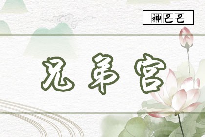 紫薇兄弟宫代表什么_兄弟宫化禄入福德宫_紫薇 兄弟宫