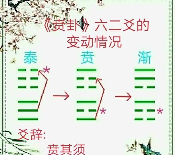 遁卦六二爻_泰卦两个变爻怎么看卦_上卦下卦动爻查询