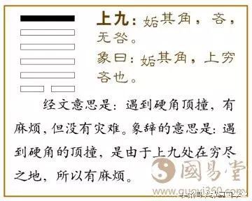 女性卜天风姤卦问事业_姤卦易经六十四卦详解查询_姤卦事业