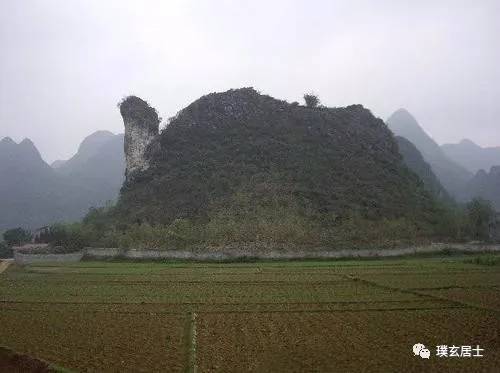 杨公仙师乘着牛车，一看就是牛的眼晴