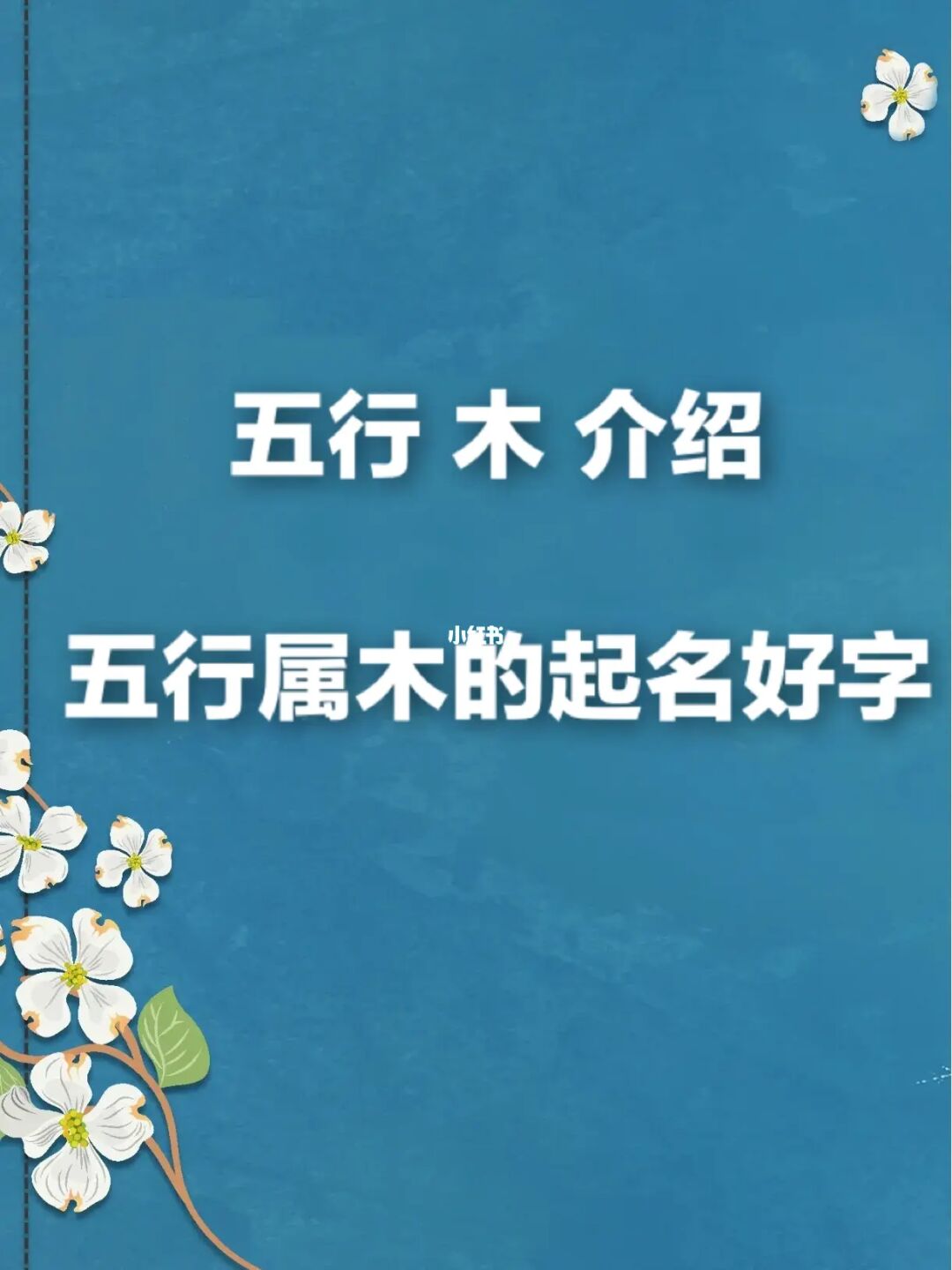 美容院名字大全2021年风水_男孩名字2021年名字大全_美容院名字大全2015年风水