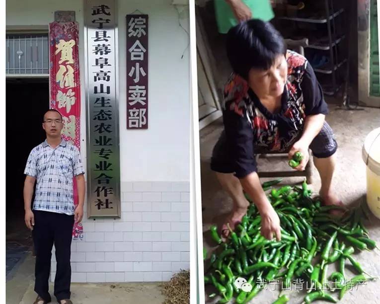 淘宝特产店铺起名_特产起名店铺淘宝怎么起_卖特产的淘宝店铺名字