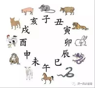 周易取名网生辰八字免费100_周易八字起名网官网_周易八字起名网专业