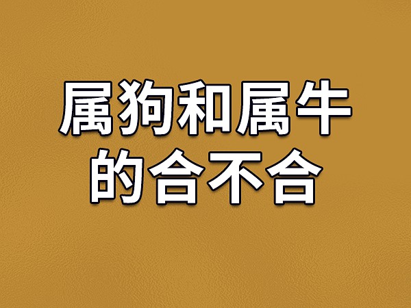 属狗2023年结婚好吗_2023年五行属什么命_2023年属什么生肖五行