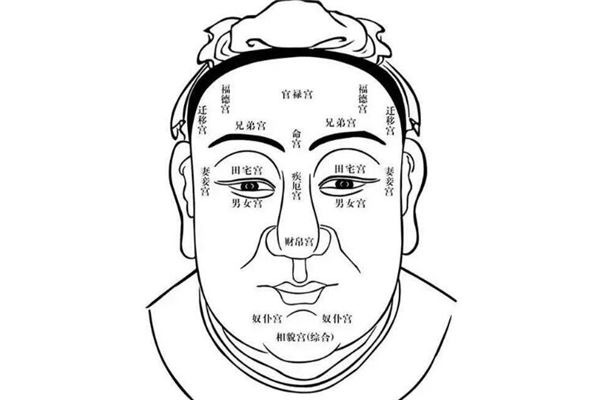 面相五行看财运_教你看男人面相财运图解_男人财运手相图解大全