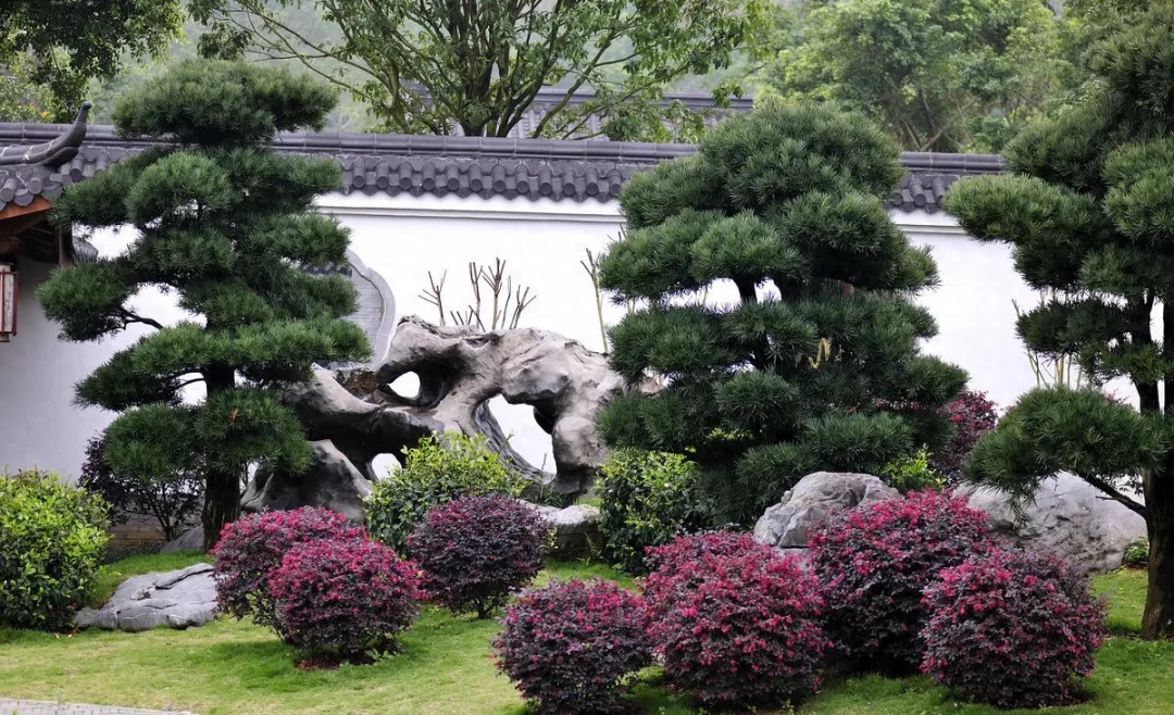 工厂假山风水_家居风水假山_风水中假山的作用