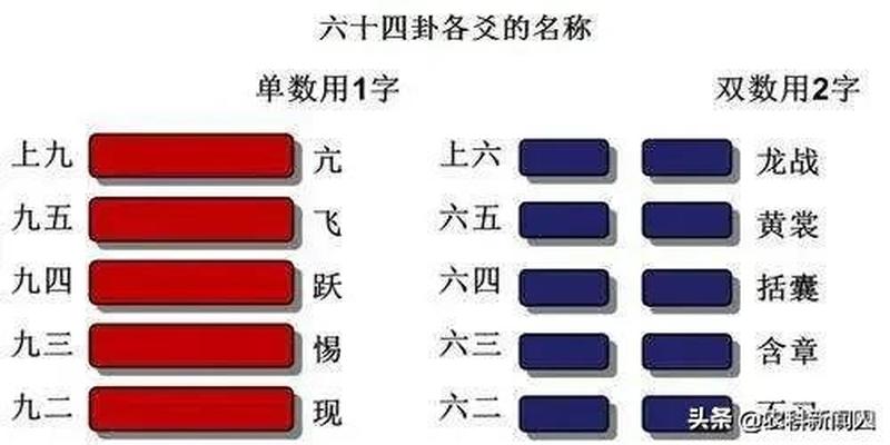 （每日一题）上卦的作用及应用方法