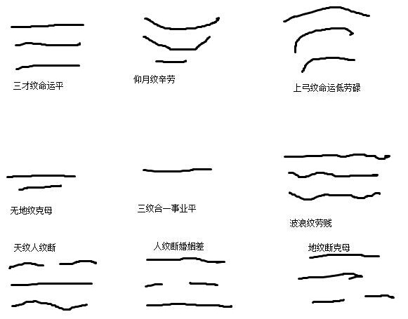 面相中的阴德纹照片_人体阴鹜纹面相图解_面部阴骘纹