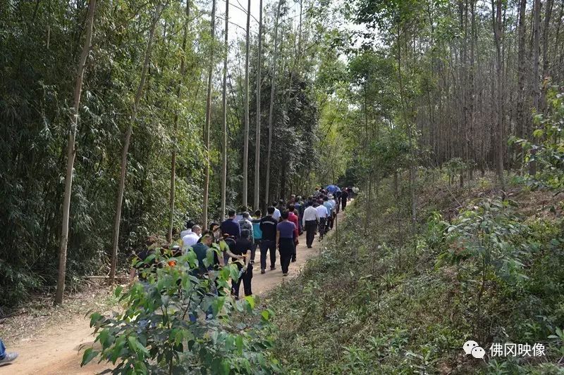 坟墓风水黄泉水_黄坟什么意思_黄峭山祖坟风水