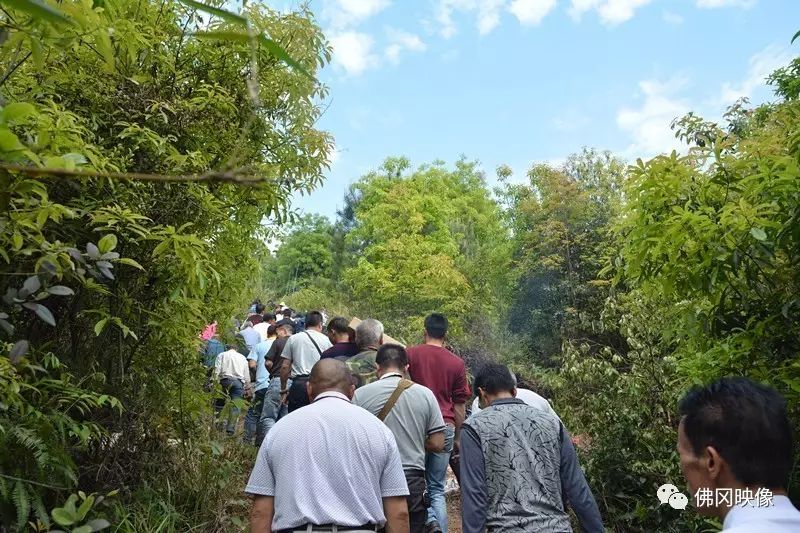 黄坟什么意思_坟墓风水黄泉水_黄峭山祖坟风水