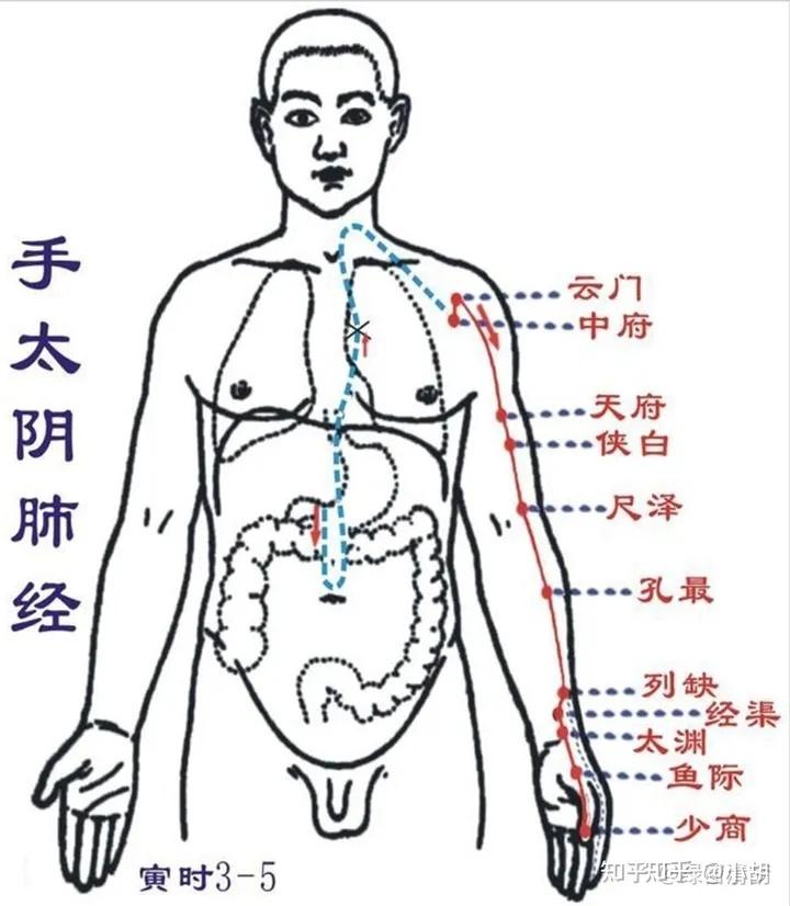 阴阳五行脉法针灸视频_阴阳五行脉针的方法_脉法针灸阴阳表